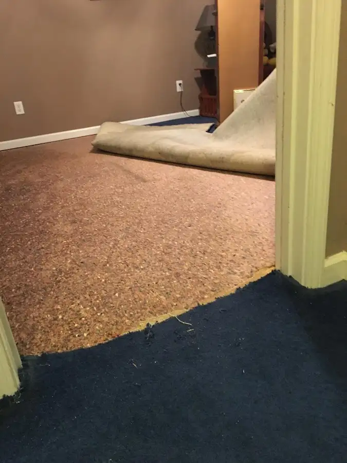 Carpet pad removal revealing water damage during Drying & Dehumidification in Morgantown