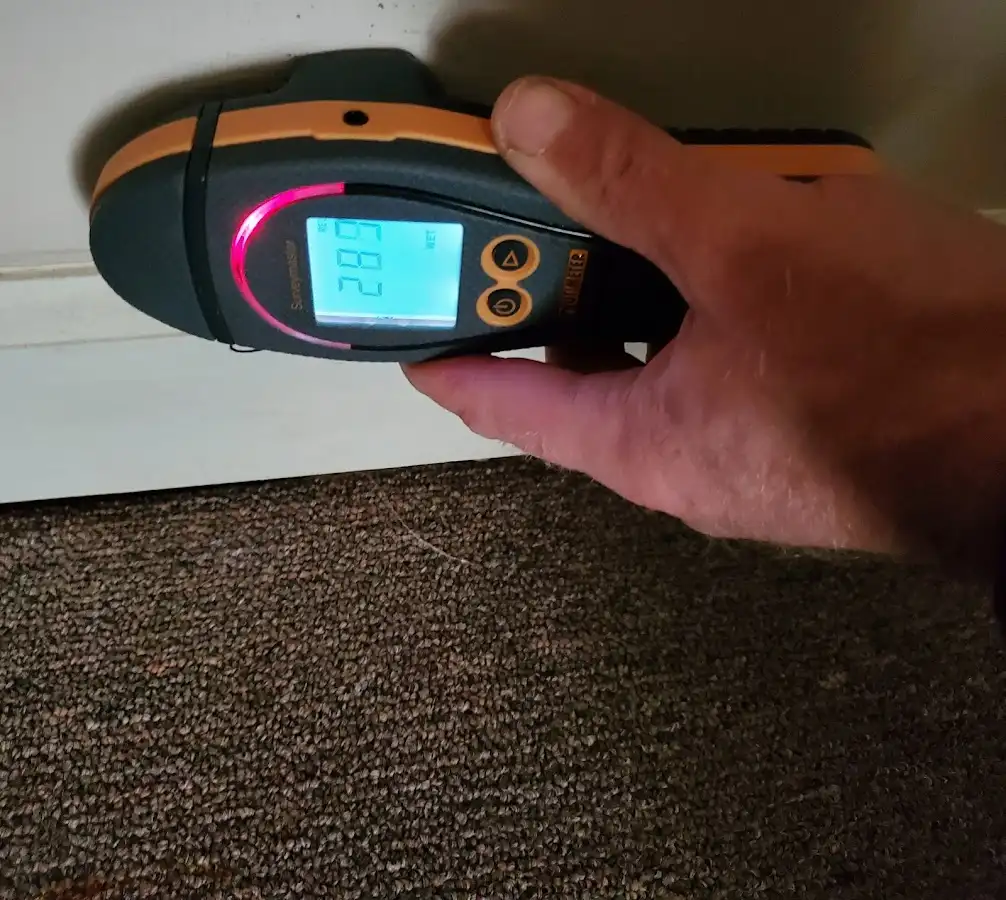 Moisture detection at baseboard during Mold Inspection & Testing in Morgantown